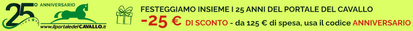 25° Portale del Cavallo