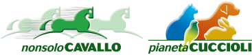 NonsoloCavallo